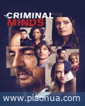 <b>犯罪心理第十五季</b>