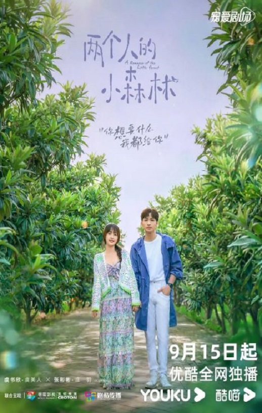 <b><font color='#FF0000'>两个人的小森林</font></b>