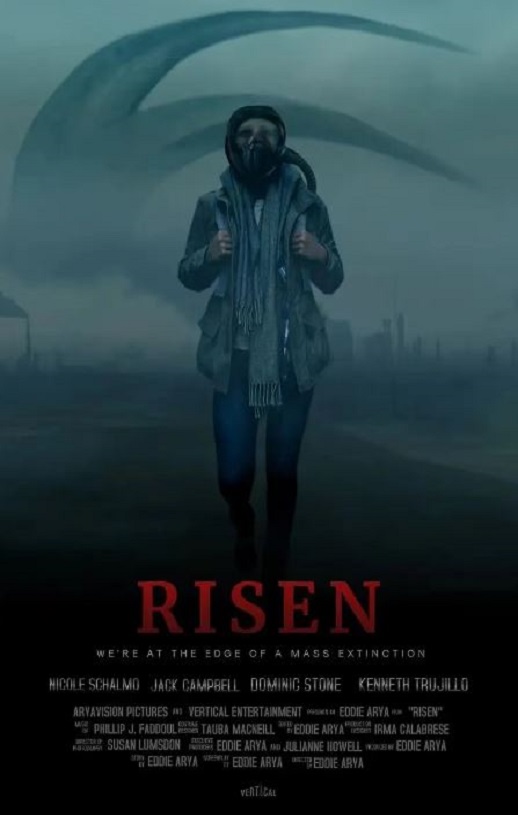 <b><font color='#FF0000'>崛起</font></b>