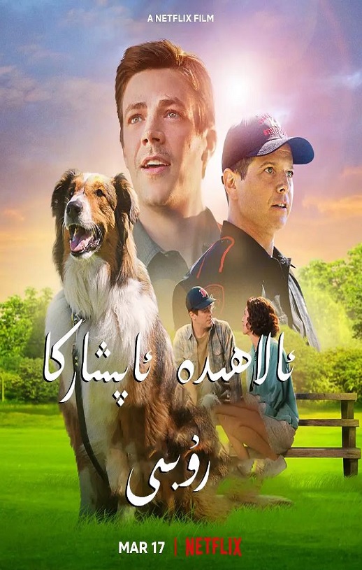 <b><font color='#FF0000'>义犬救主</font></b>