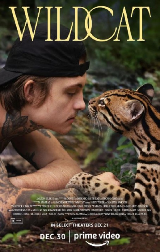 <b><font color='#FF0000'>野猫</font></b>