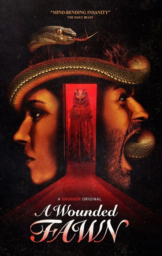 <b><font color='#FF0000'>受伤的小鹿</font></b>