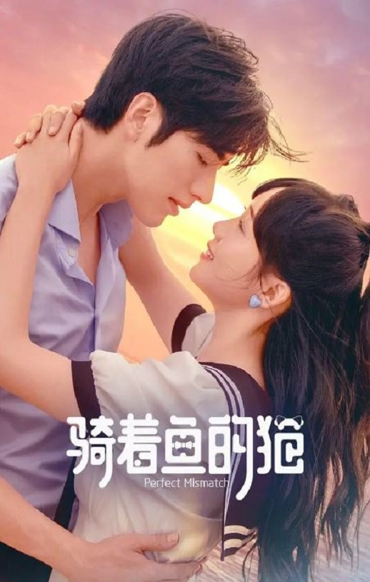 <b><font color='#FF0000'>骑着鱼的猫</font></b>