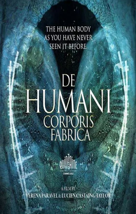 <b><font color='#FF0000'>人体结构</font></b>