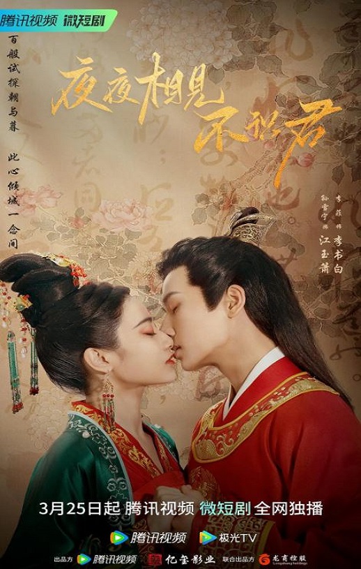 <b><font color='#FF0000'>夜夜相见不识君</font></b>