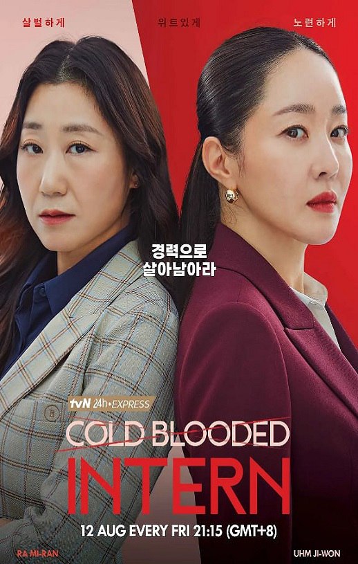 <b><font color='#FF0000'>残酷的实习生</font></b>