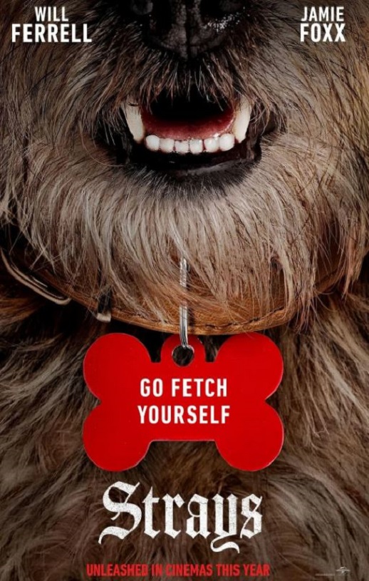 <b><font color='#FF0000'>流浪狗2023</font></b>