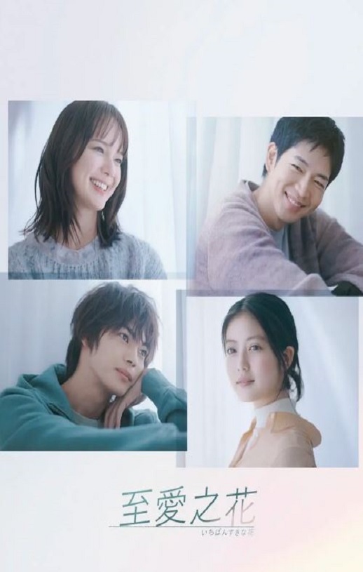 <b><font color='#FF0000'>最喜欢的花</font></b>