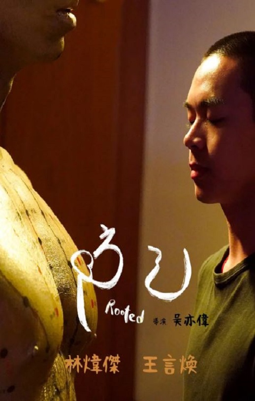 <b><font color='#FF0000'>防己</font></b>