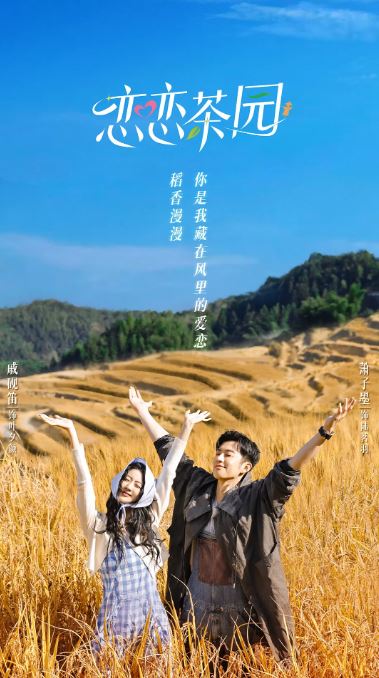 <b><font color='#FF0000'>恋恋茶园</font></b>