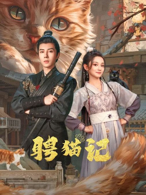 <b><font color='#FF0000'>聘猫记</font></b>