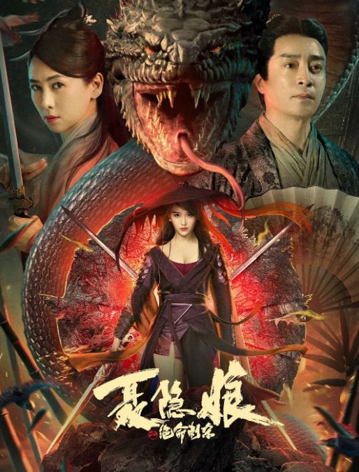 <b><font color='#FF0000'>聂隐娘之绝命刺杀</font></b>