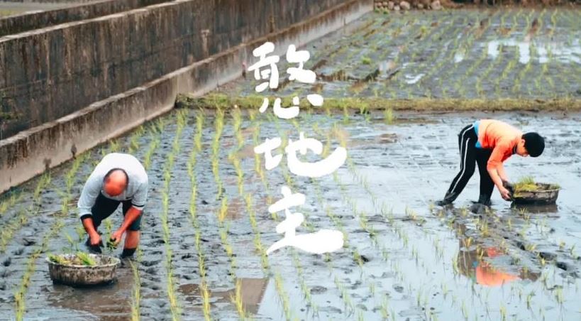 <b><font color='#FF0000'>憨地主</font></b>