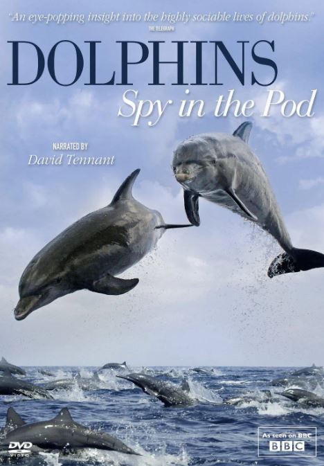 <b><font color='#FF0000'>卧底海豚帮 第一季</font></b>