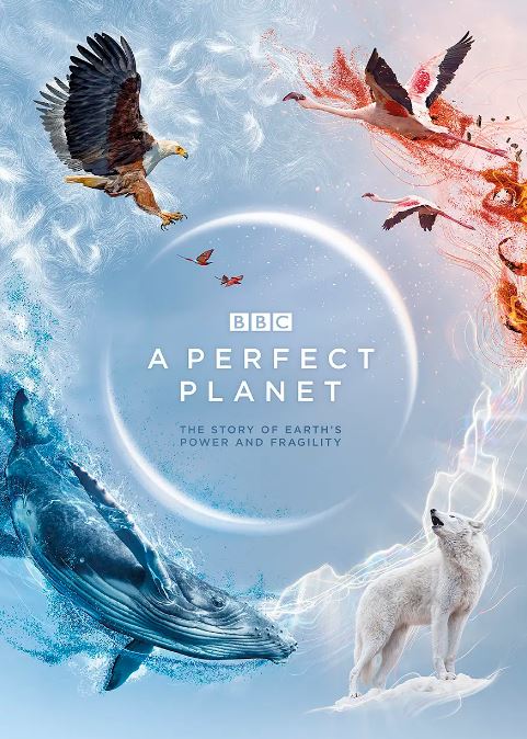 <b><font color='#FF0000'>完美星球</font></b>