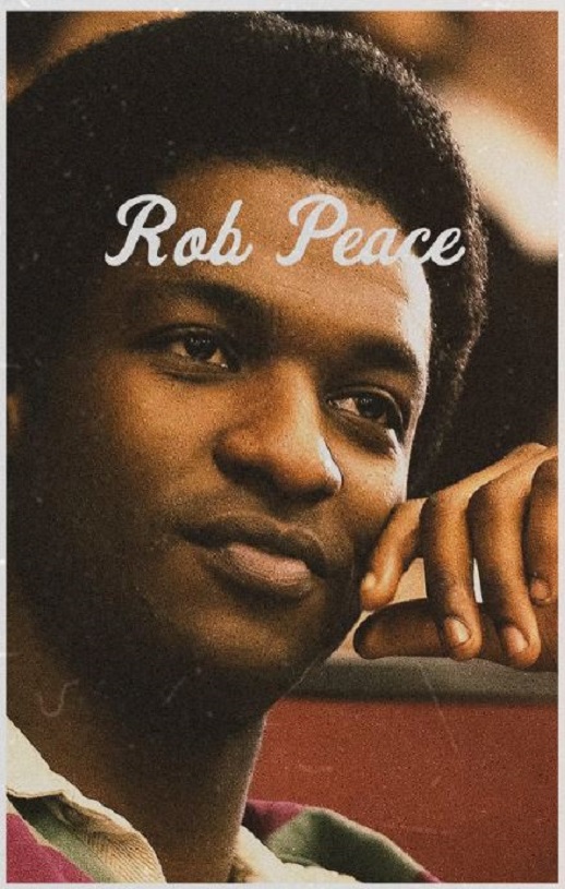 <b><font color='#FF0000'>被盗的和平</font></b>