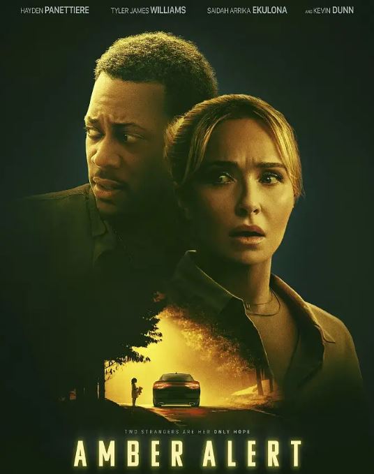 <b><font color='#FF0000'>琥珀警报</font></b>