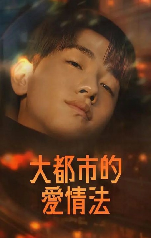 <b><font color='#FF0000'>大都市爱情法</font></b>
