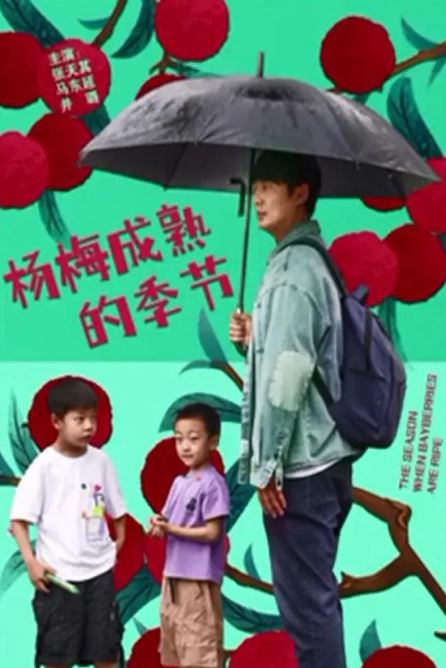 <b><font color='#FF0000'>杨梅成熟的季节</font></b>