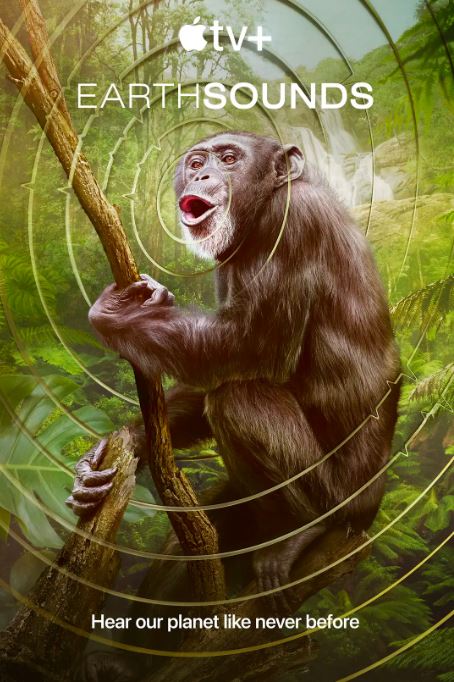 <b><font color='#FF0000'>地球之声</font></b>