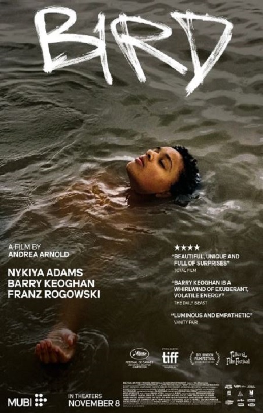 <b><font color='#FF0000'>鸟</font></b>