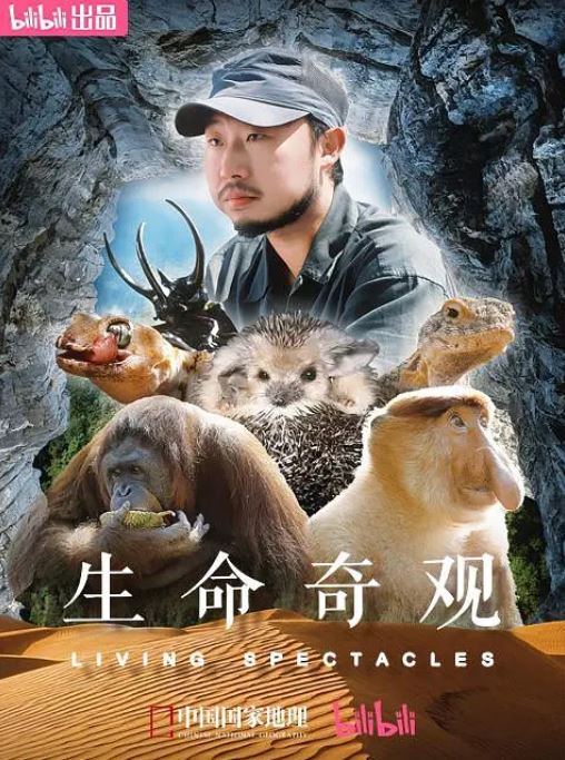 <b><font color='#FF0000'>生命奇观</font></b>