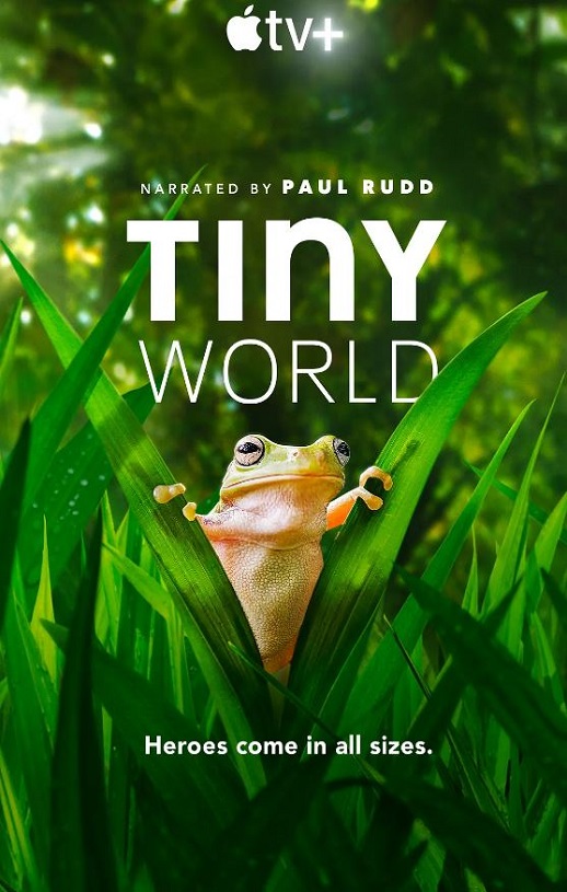 <b><font color='#FF0000'>小小世界 第二季</font></b>