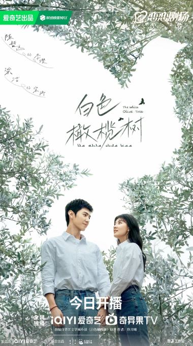 <b><font color='#FF0000'>白色橄榄树</font></b>