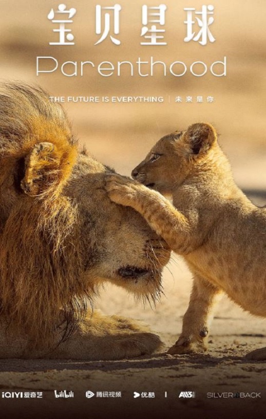 <b><font color='#FF0000'>宝贝星球 中配版</font></b>