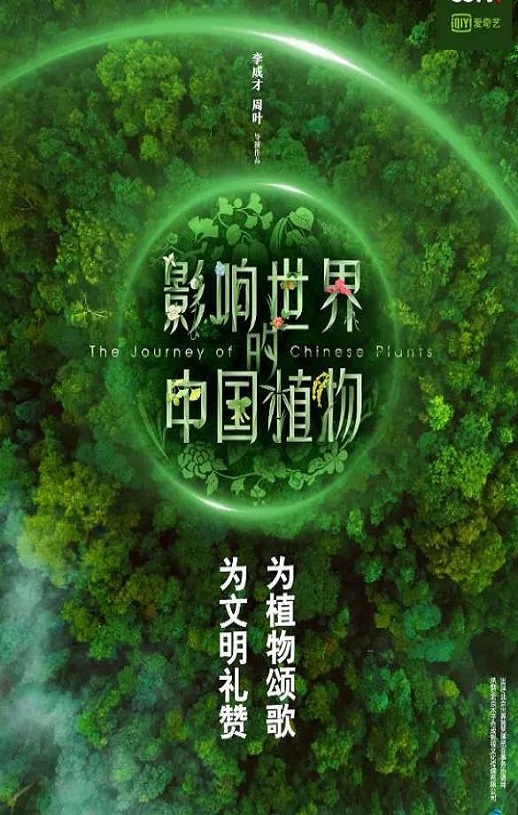 <b><font color='#FF0000'>影响世界的中国植物</font></b>