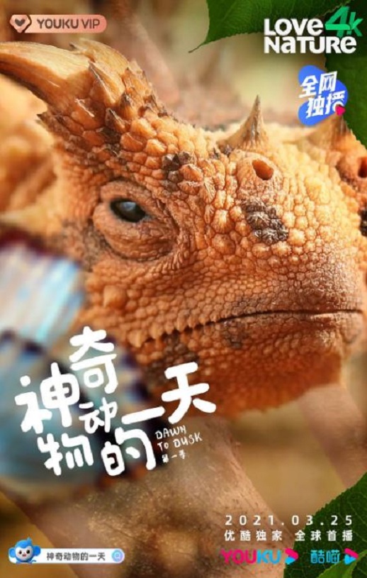 <b><font color='#FF0000'>神奇动物的一天 第一</font></b>