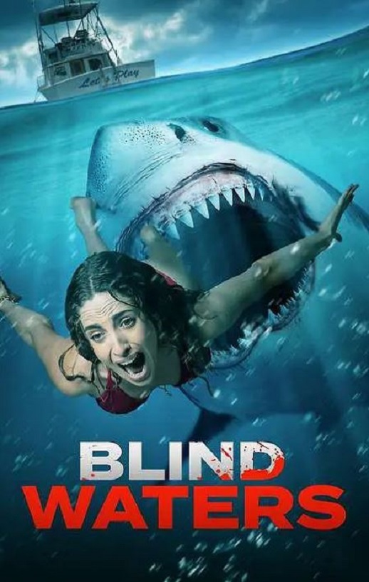 <b><font color='#FF0000'>盲水</font></b>