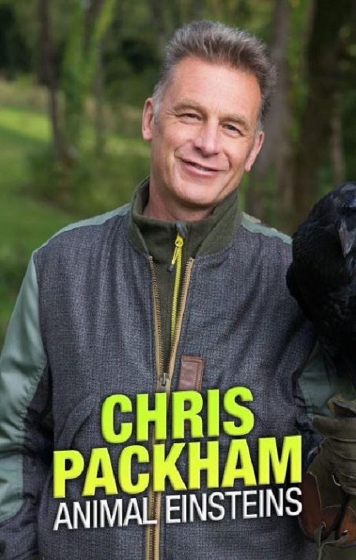 <b><font color='#FF0000'>动物界的爱因斯坦</font></b>