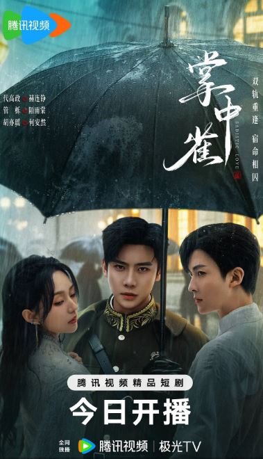 <b><font color='#FF0000'>掌中雀</font></b>