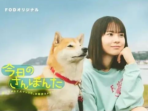 <b><font color='#FF0000'>今日份的散步</font></b>