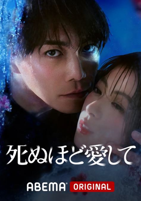 <b><font color='#FF0000'>爱你至死</font></b>