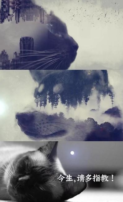 <b><font color='#FF0000'>今生，请多指教 第二</font></b>