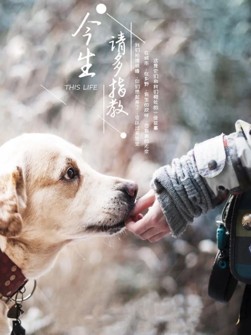 <b><font color='#FF0000'>今生，请多指教</font></b>