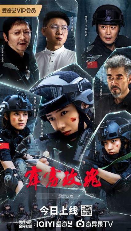 <b><font color='#FF0000'>霹雳玫瑰</font></b>