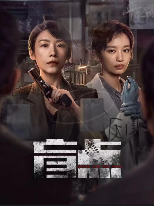 <b><font color='#FF0000'>盲点2025</font></b>