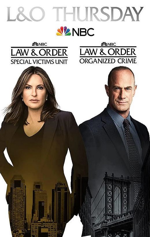 <b><font color='#FF0000'>法律与秩序：特殊受害</font></b>