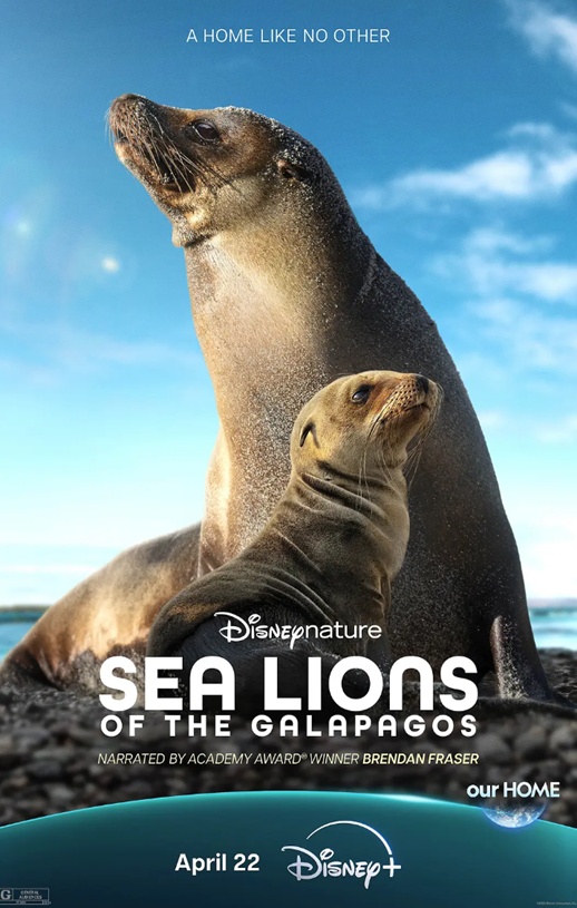 <b><font color='#FF0000'>海狮利奥环岛记</font></b>