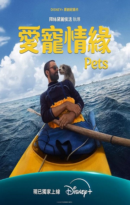 <b><font color='#FF0000'>爱宠情缘</font></b>