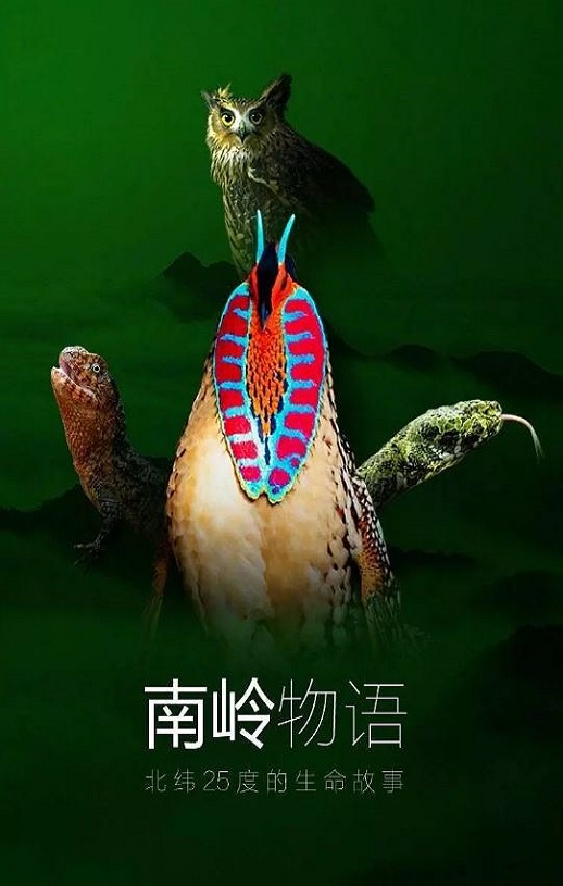 <b><font color='#FF0000'>南岭物语</font></b>