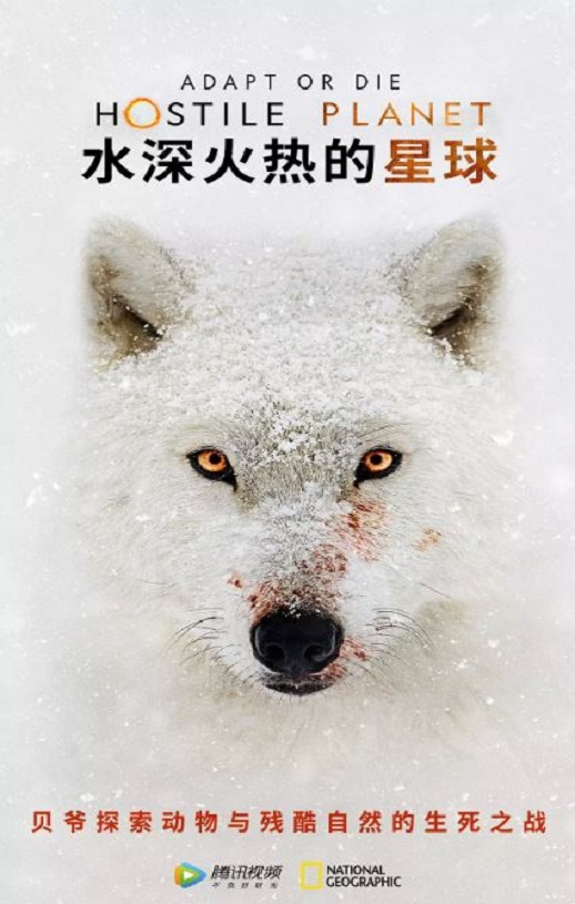 <b><font color='#FF0000'>水深火热的星球</font></b>