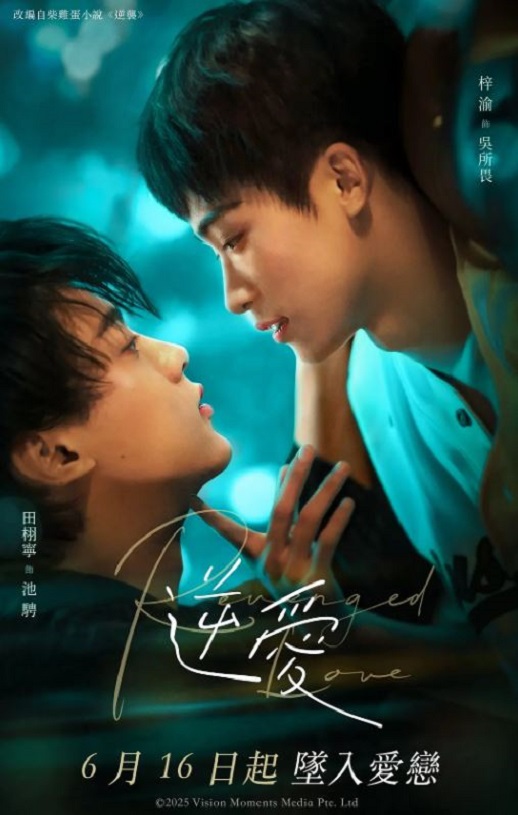 <b><font color='#FF0000'>逆爱2025</font></b>