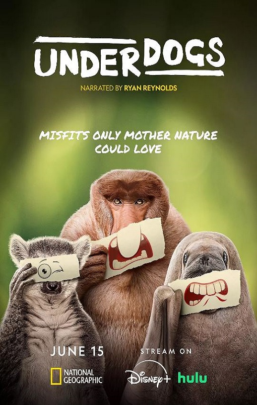 <b><font color='#FF0000'>废柴英雄</font></b>