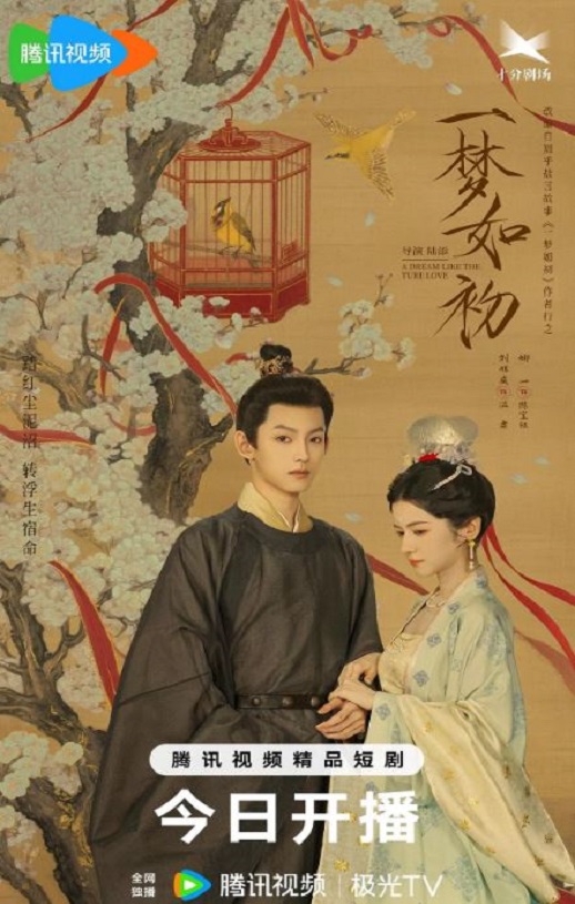 <b><font color='#FF0000'>一梦如初2025</font></b>