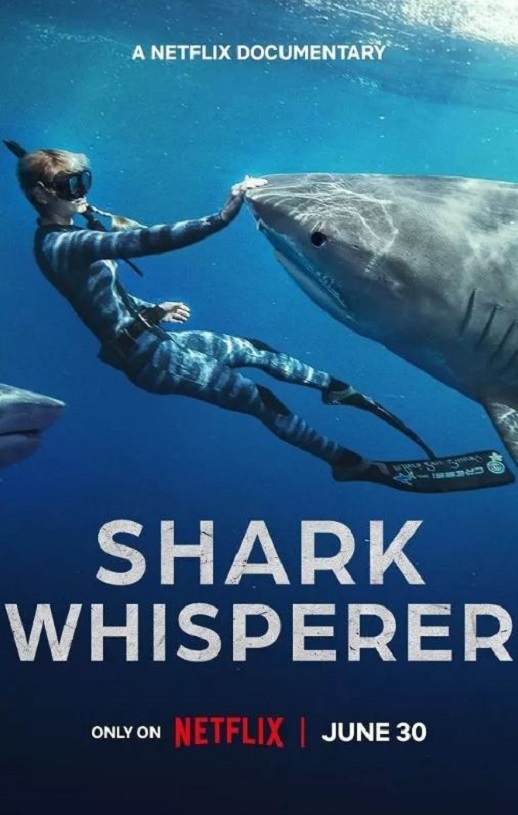 <b><font color='#FF0000'>鲨语者</font></b>