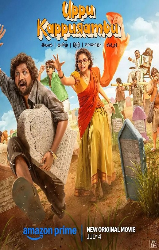 <b><font color='#FF0000'>盐和樟脑</font></b>